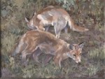 RichardSwann-Foxes