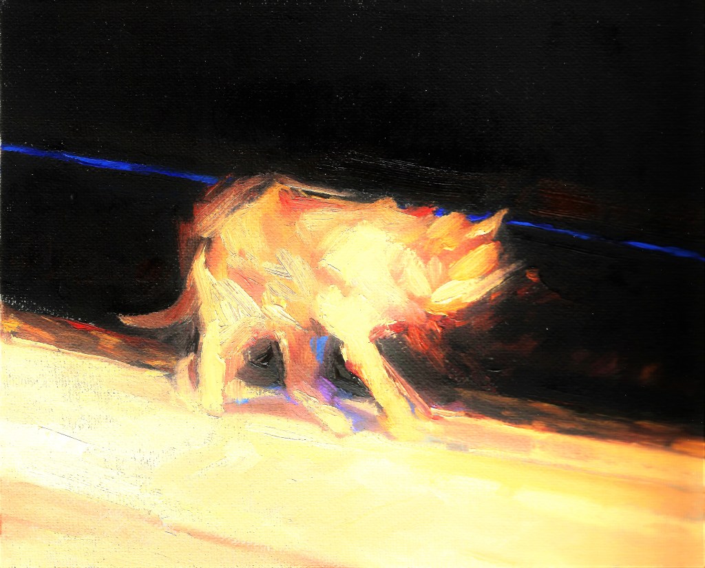 RichardSwannSmearCat2