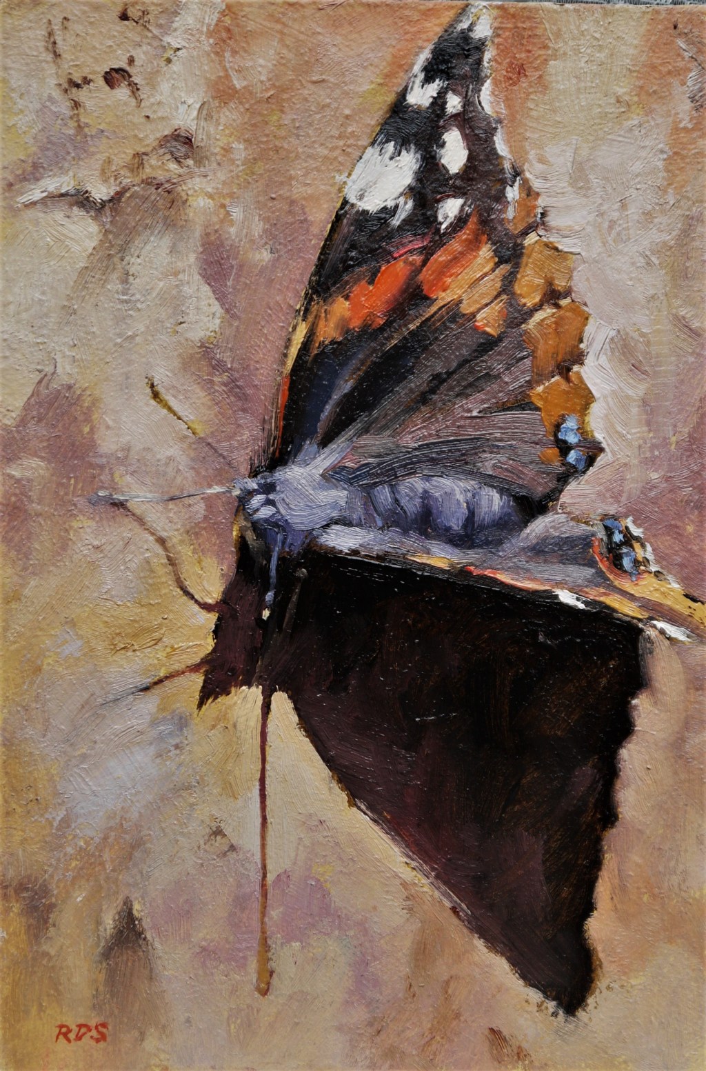 Richard Swann - Red Admiral