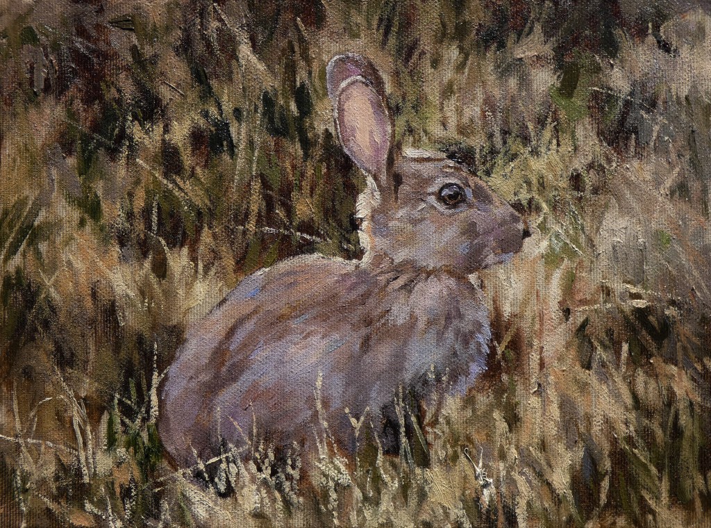 richardswannrabbit (2)