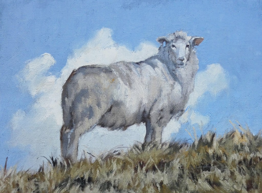 RichardSwannBoxingDaySheep