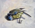 RichardSwannBluetit
