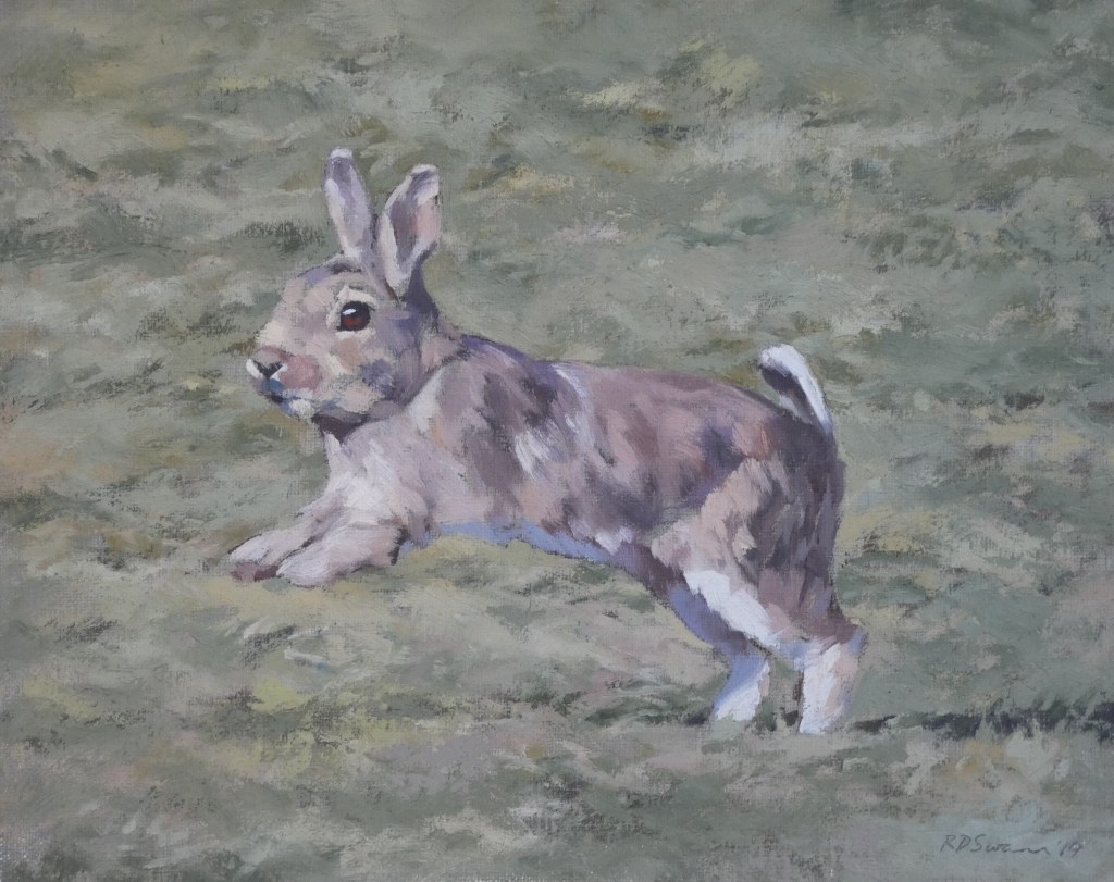 RichardSwannRabbit2